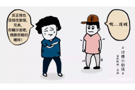 银川追债公司电话号码查询：高效解决债务问题的专业途径